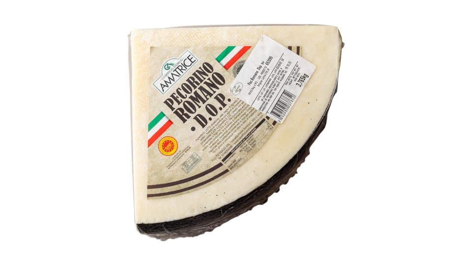 Pecorino Romano sheep